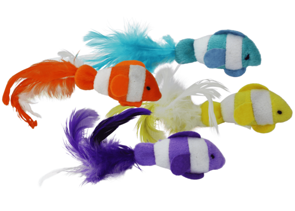 20140-Clown-Fish-Asst-Touching