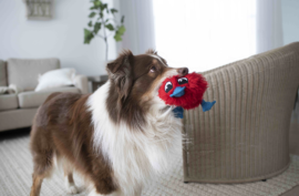 4 Indoor Exercise Ideas For Dogs When You Can't Leave The House