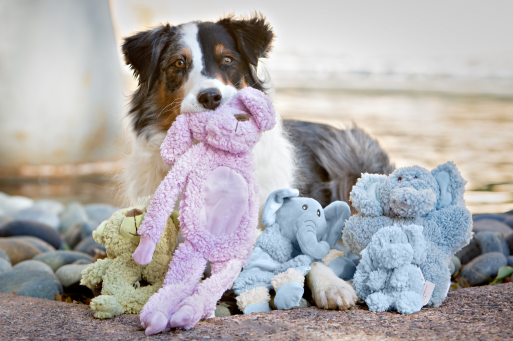 How Your Dog Can Benefit from Aromadog Scented Toys