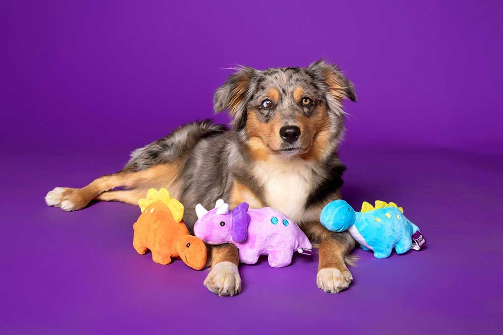 Best Dog Enrichment Toys To Challenge And Entertain