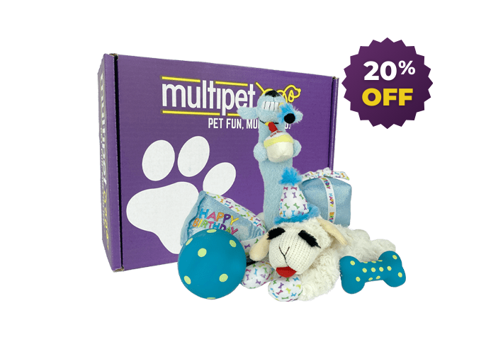 BIRTHDAY DOG BOX – BLUE