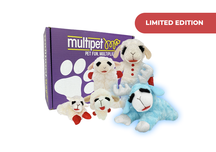 LAMB CHOP® BOX – WINTER