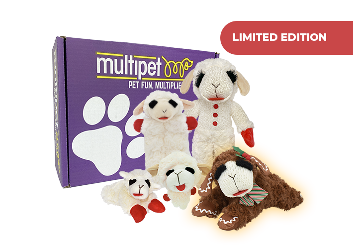 LAMB CHOP® BOX – GINGERBREAD