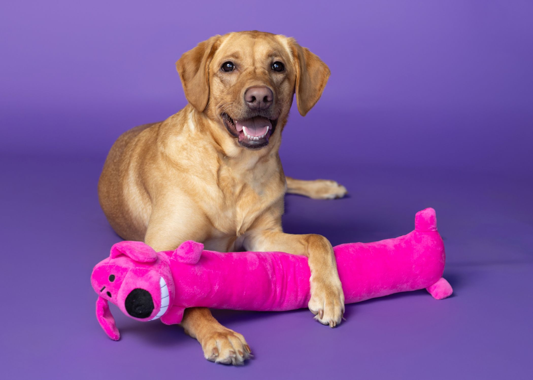 Loofa<sup>®</sup> Dog, The Original - Image 11