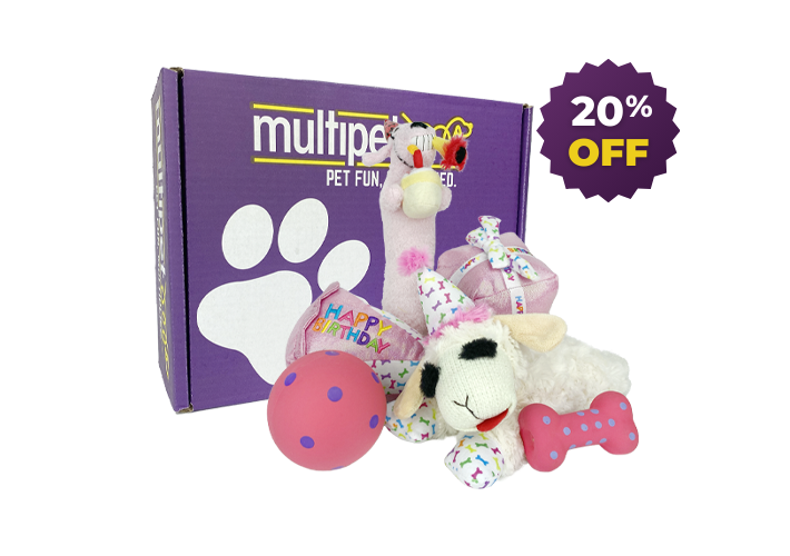 BIRTHDAY DOG BOX – PINK