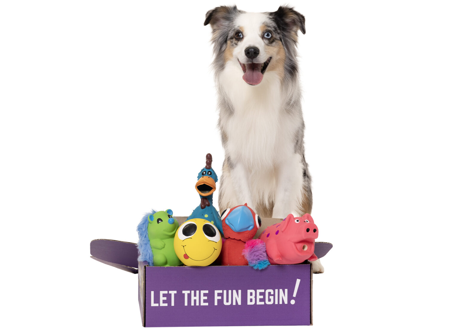 SQUEAKABLES™ Multipet