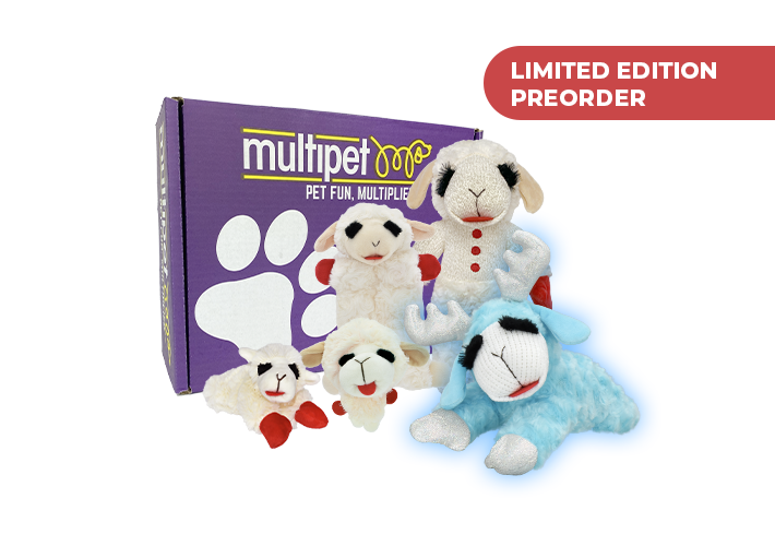 LAMB CHOP® BOX – WINTER