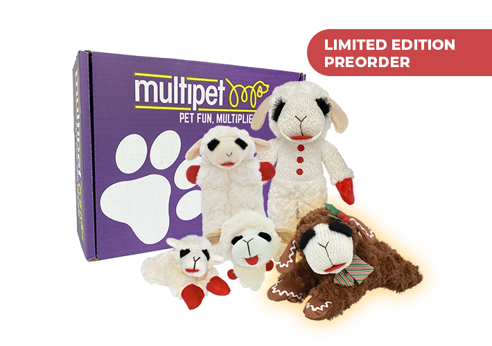 LAMB CHOP® BOX – GINGERBREAD