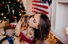 A Guide to Getting Your Dog Ready for the Holiday Season