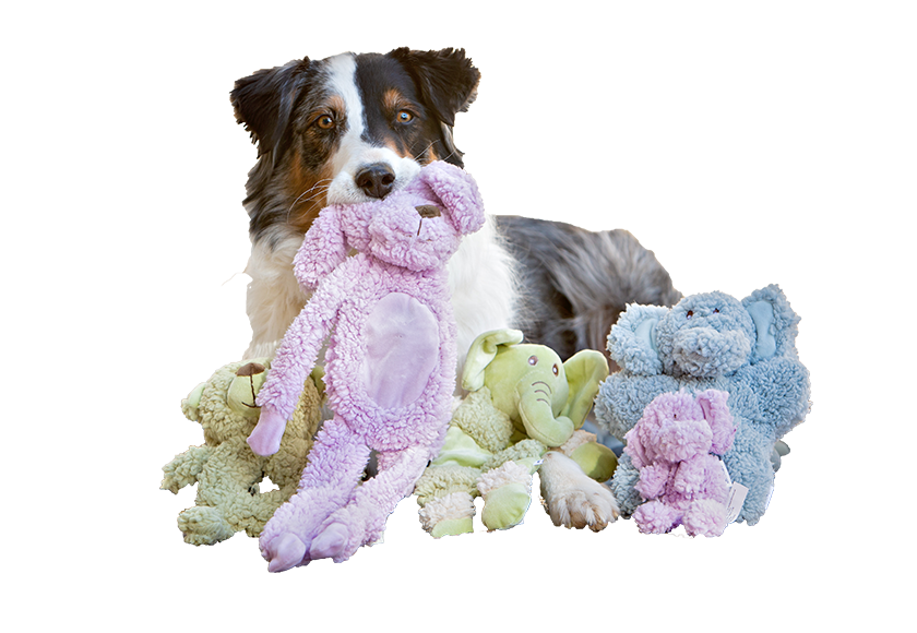 Aromadog Dog Toys Pet Products Multipet