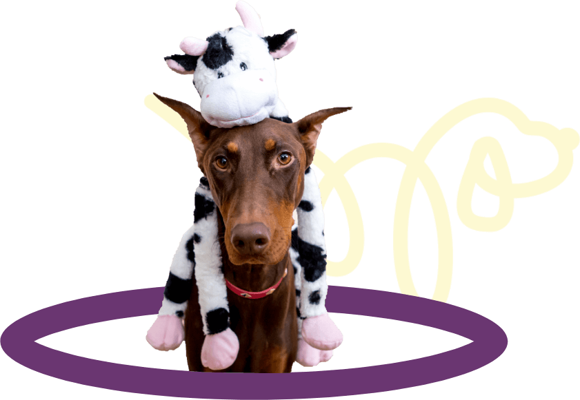 cow dog toys