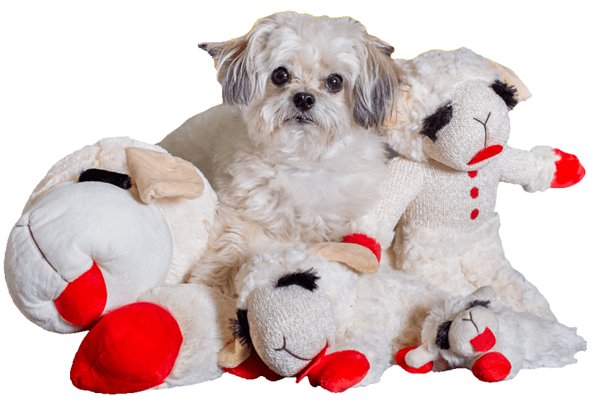 Lambchop Dog Toys Multipet