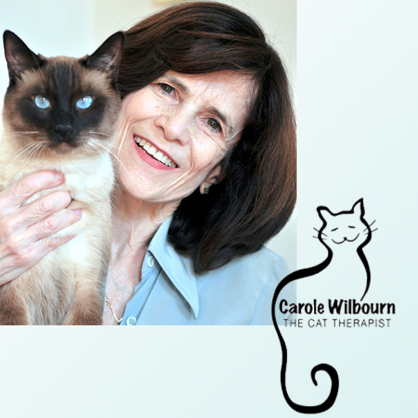 Carole Wilbourn The Cat Therapist Multipet