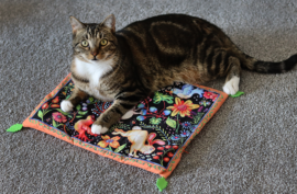 Discovering The Best Toys For Blind Cats