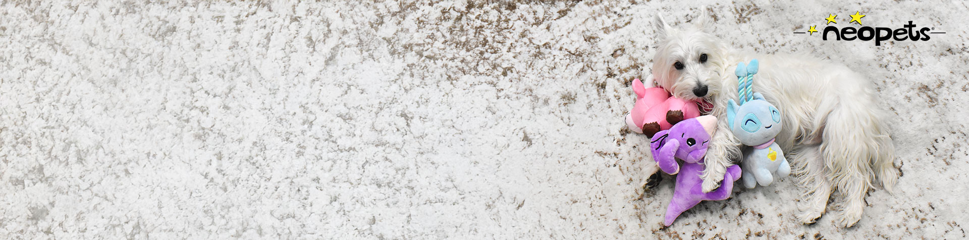 Neopets®
