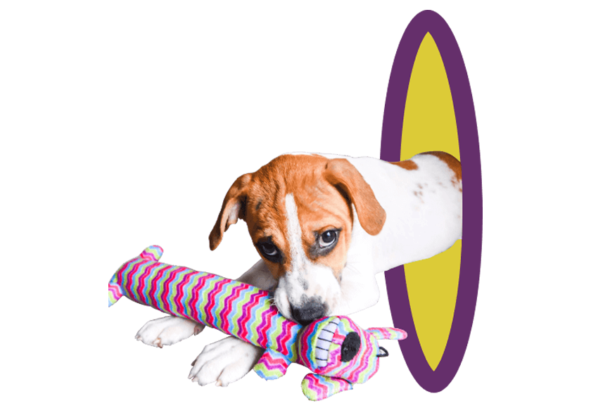 Rainbow Loofa Dog<sup>®</sup>