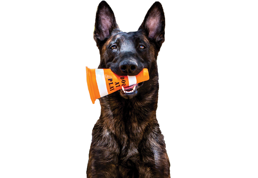 multipet squeakables